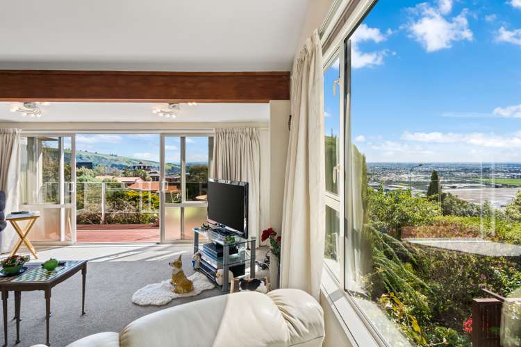 234 Cannon Hill Crescent Mount Pleasant_8