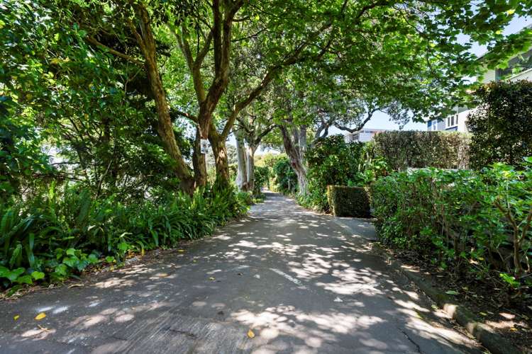 2/2 Darwin Lane Remuera_20