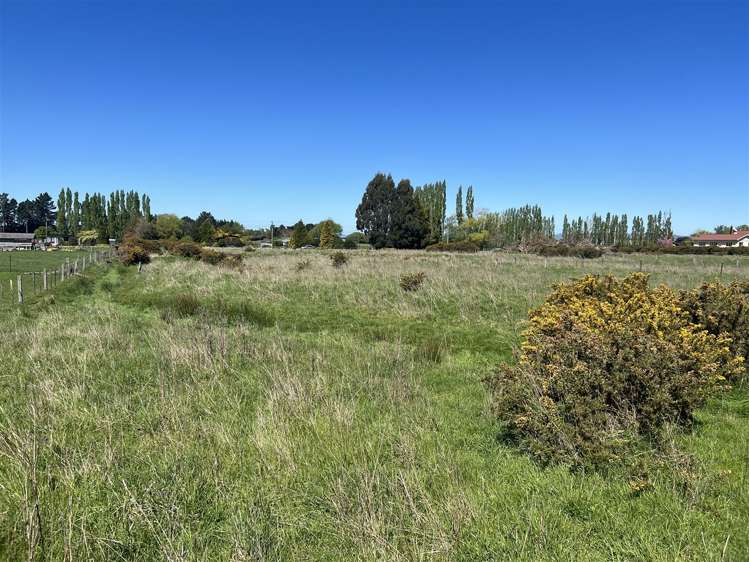 44 Queen Street Balfour_12