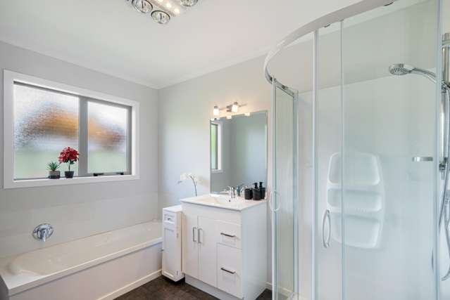 2A Rutland Street Levin_4