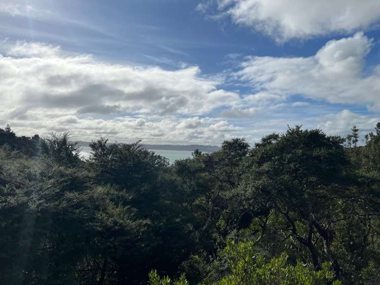 27 Te Tuhi Road Raglan_48