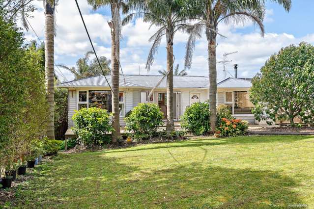 287 Don Buck Road Massey_3