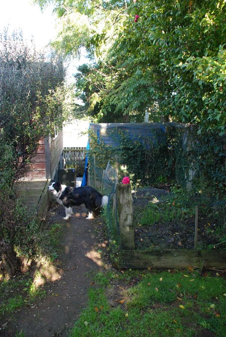 112a Naylor Street Hamilton East_5