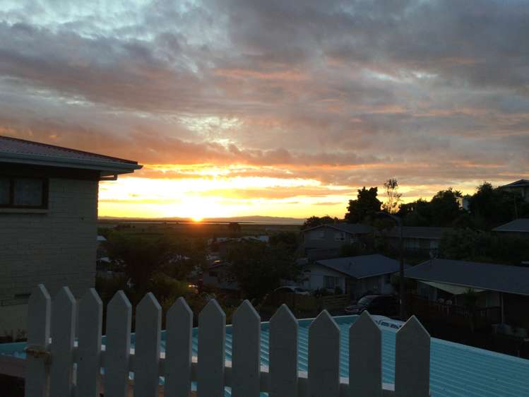 104 Hays Place Thames_3