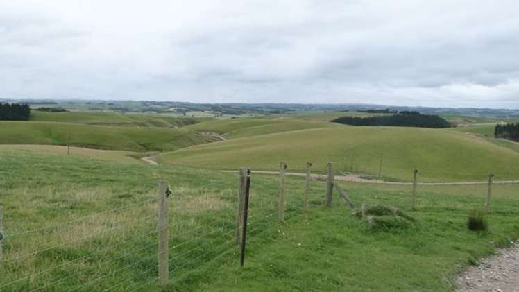 188 Homestead Road Clinton and Surrounds_10