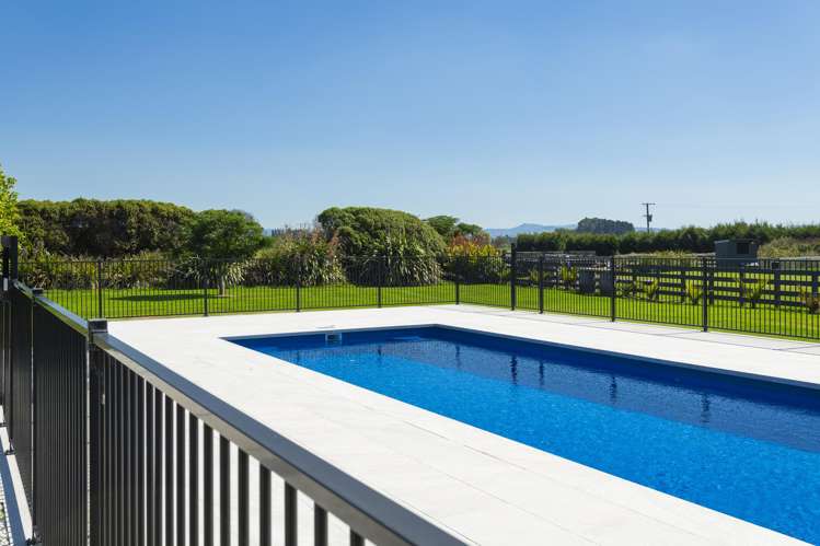 562 Back Ormond Road Makauri_23