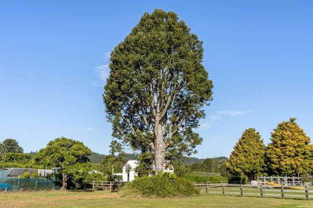 524 Tairua Road Whangamata_4