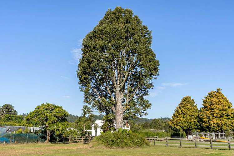 524 Tairua Road Whangamata_4