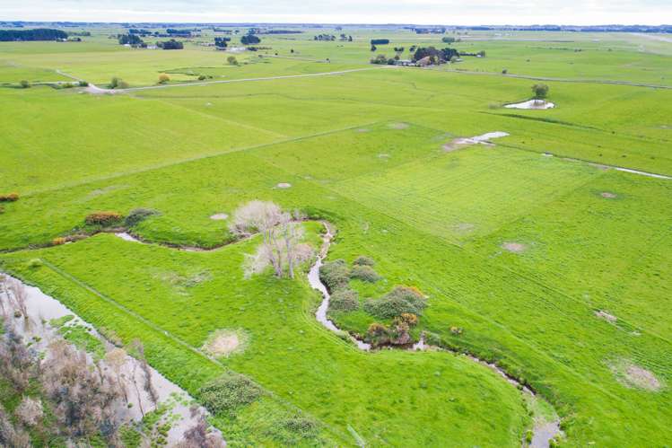 3125 State Highway 1 Sanson_21