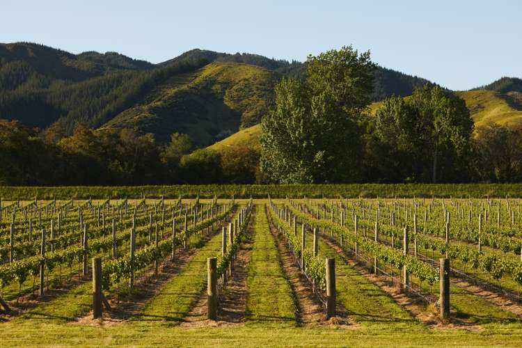 212 Selmes Road Rapaura_13