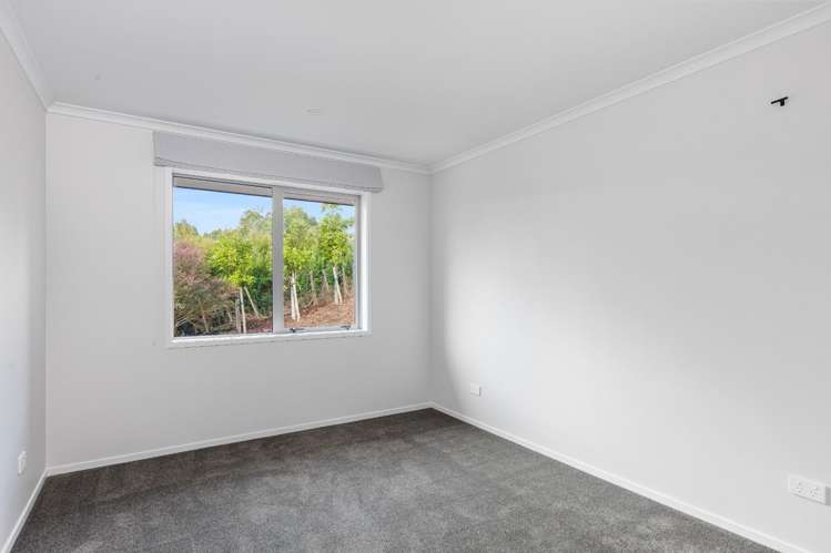 274 Whitehills Road Dairy Flat_19