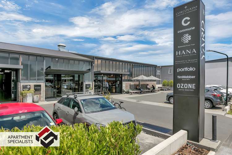 250 Richmond Grey Lynn_24