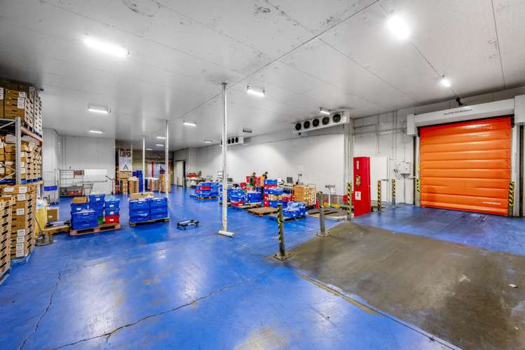 40 Honan Place Avondale_11