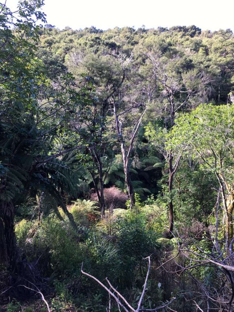 11 Moonraker Way Kaiteriteri_7