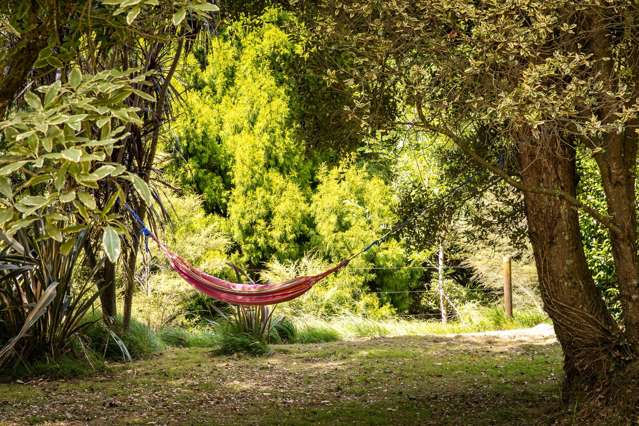 49 Mangotahi Road Thames_3