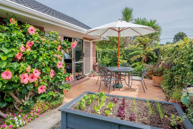 3 Greenaway Road Waikanae_1