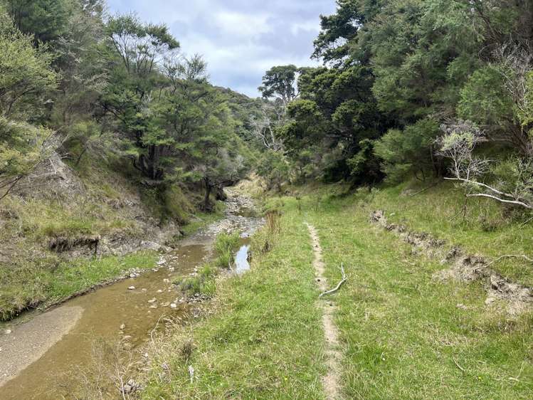 310 Branscombe Road Akitio_5