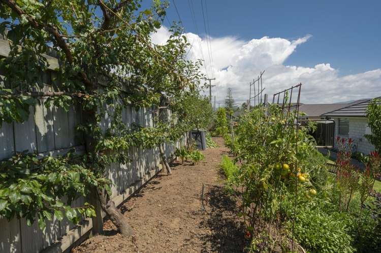 40 Charlotte Drive Omokoroa_23