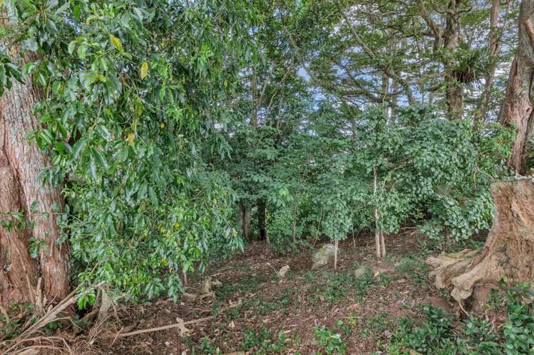 Lots 3, 4 & 5 Don Meara Lane Kauri_9