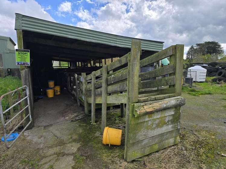 452 Surrey Road Rd 8_14