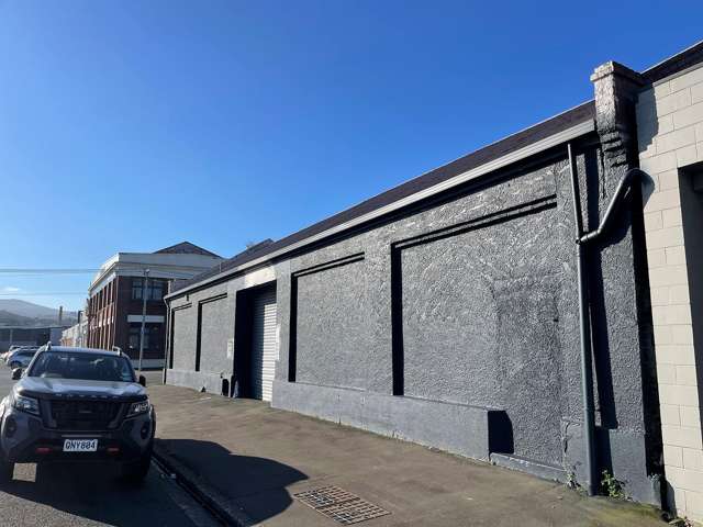 44 Cresswell Street Dunedin Central_1