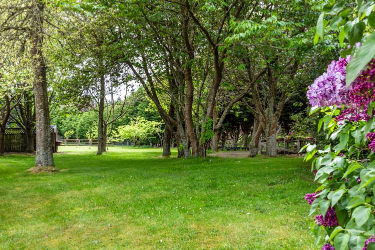 202 Palmer Mill Road Wairakei and Surrounds_28