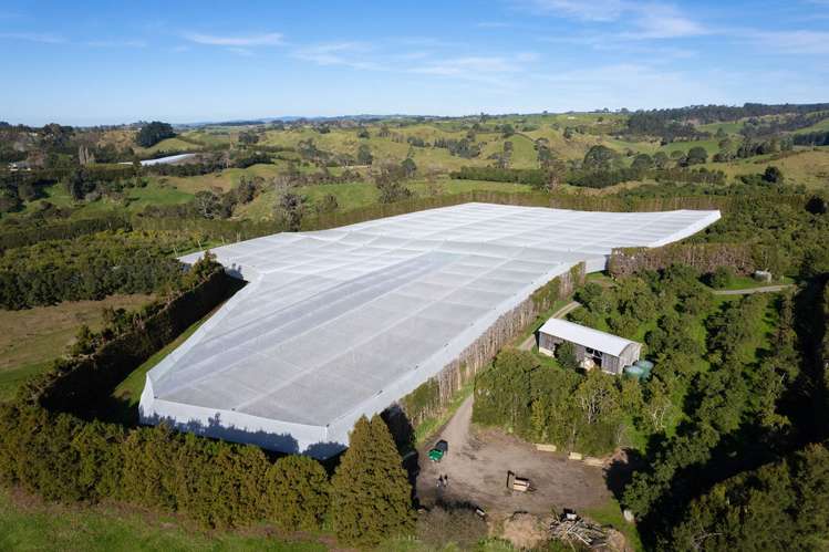 231 Walford Road Aongatete_2