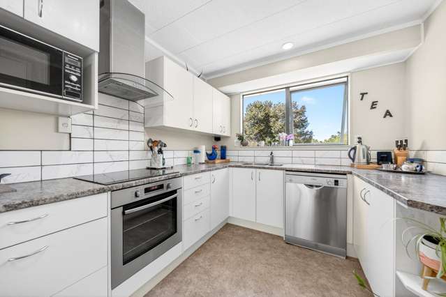 869 Norfolk Road Waingawa_4