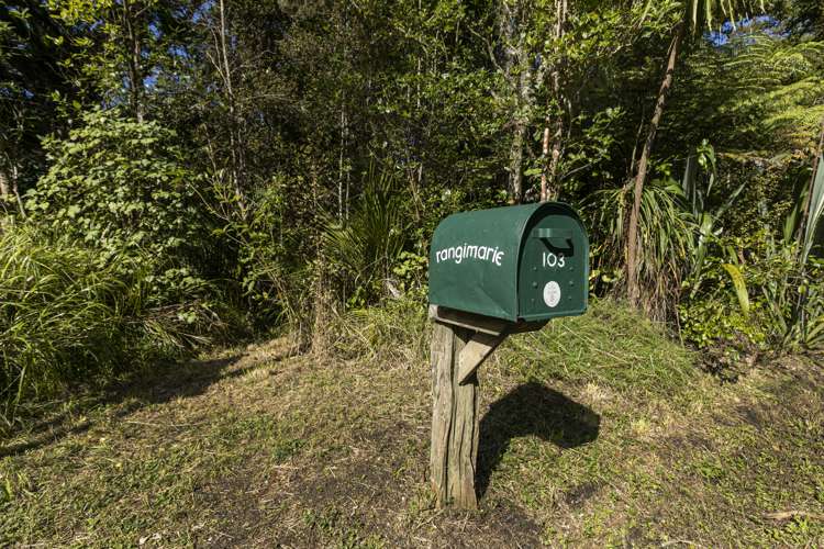 103 Hinau Road Waimauku_22