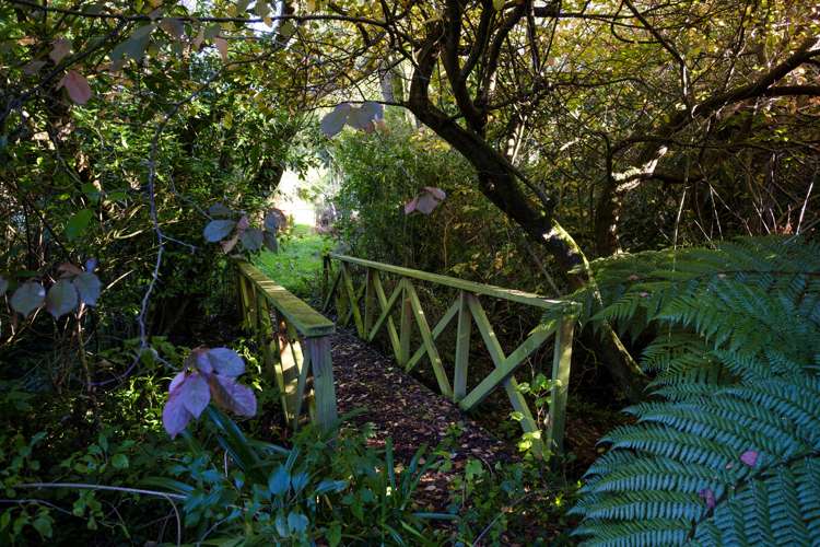 741 Portobello Road Broad Bay_23