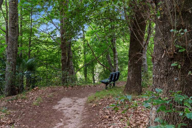 72 Ritchie Street Te Aroha_22