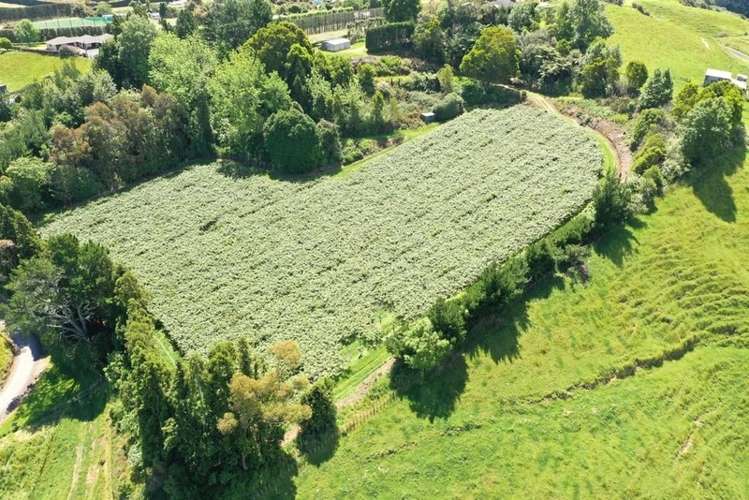 221 Pukemapu Road Oropi_14