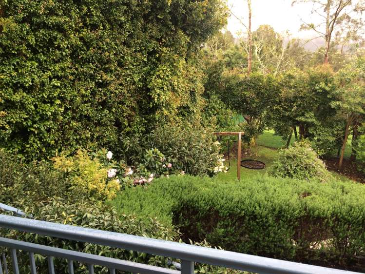 1119 Scenic Drive Swanson_20