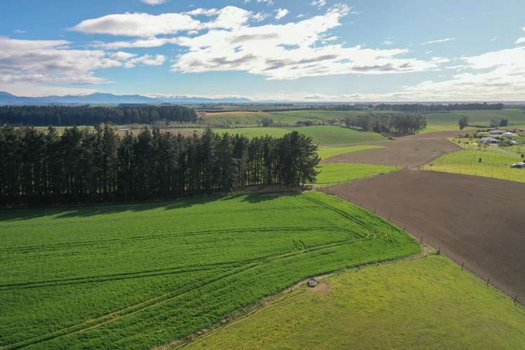 140 King Road Rosewill_9