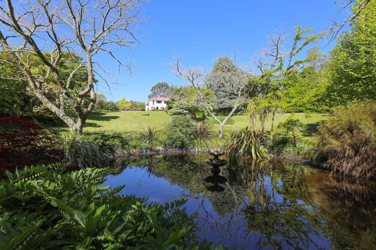 7 Deborah Rise Maunganamu_42