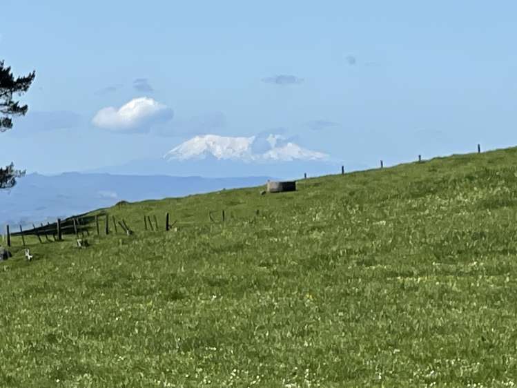 Pekanui Road Puketotara_8