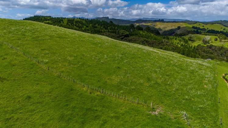 560 Diggers Valley Road Herekino_13