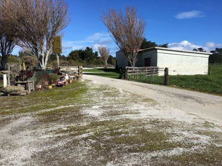 3280 Mountain Road Midhirst_9