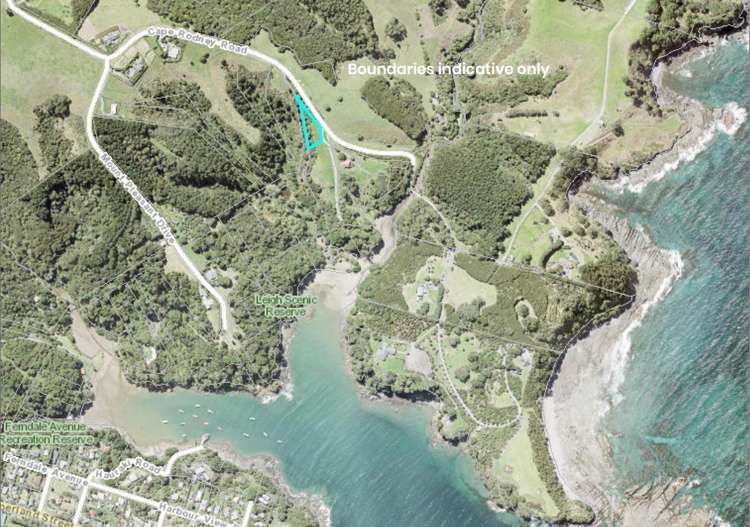 204 Cape Rodney Road Leigh_3