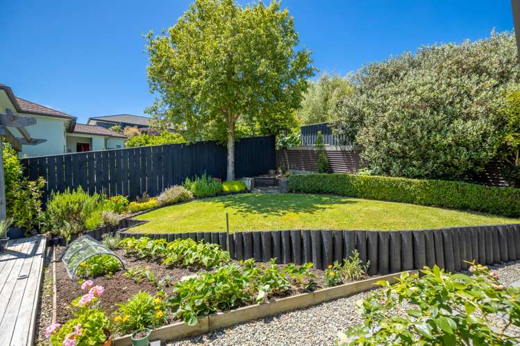 43a Scotia Street Wakatu_5