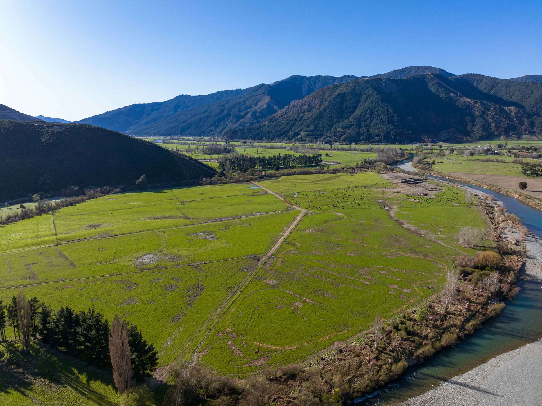 Plenty of choice in trio of Marlborough dairy units