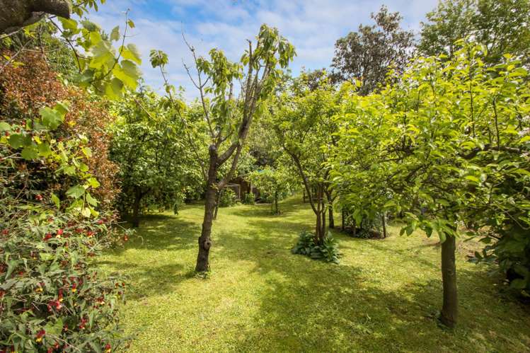 10 Richmal Street Waihi_5