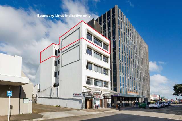 Invest in renovated, elevated apartment living!