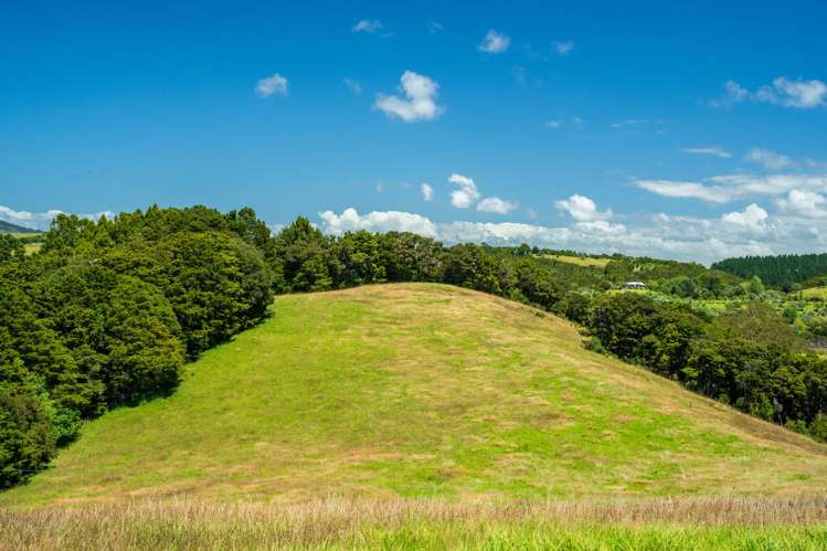 110 Mornington Way Parua Bay_26