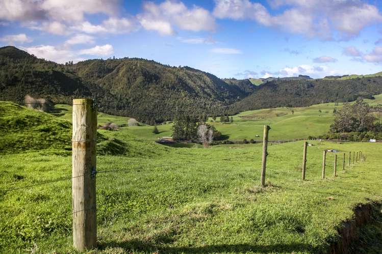 2511 Kopu Hikuai Sh25a Road Hikuai_5