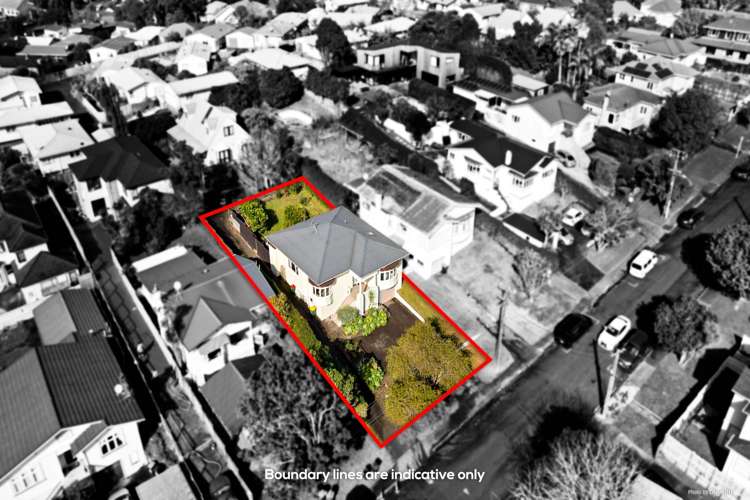 16 Aliford Avenue One Tree Hill_16