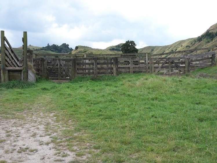 446 Stanley Road Te Popo_28