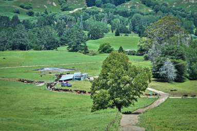 108 Sandy Creek Road_3