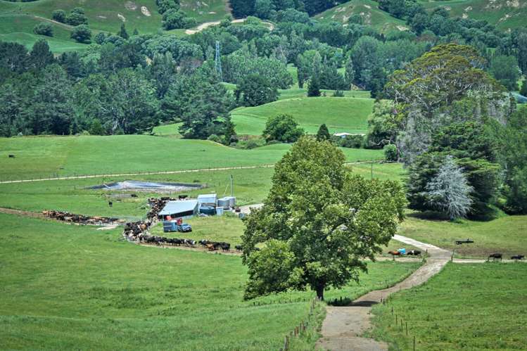 108 Sandy Creek Road Tutira_3