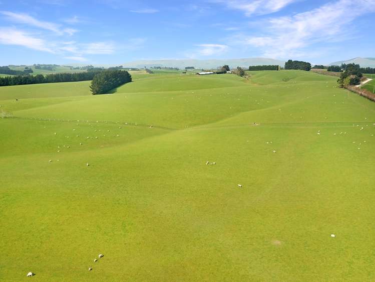 20 Carruthers Road Pomahaka_14